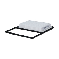 FILTRON AP 018/6 (A-1016, 17801B1010) AP0186