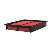 FILTRON AP 169 (A-469, G60113Z40) AP169