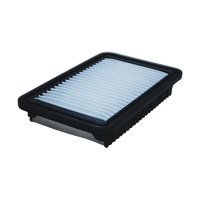 FILTRON AP 122/5 (A-Hyundai/Kia 2811304000, 5904608061225) AP1225