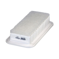 FILTRON AP 142/1 (A-196, 178010J020) AP1421